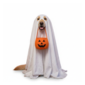 White dog ghost costume cape on a white background