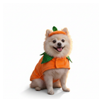 Fleece pumpkin dog costume with hat on a white background