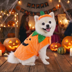Dog in a pumpkin cape and hat at a Halloween party