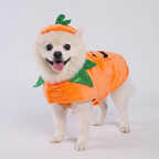 Fleece pumpkin cape and hat costume shown on a dog