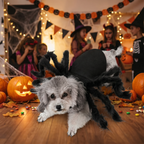 Dog in a spider costume at a Halloween party