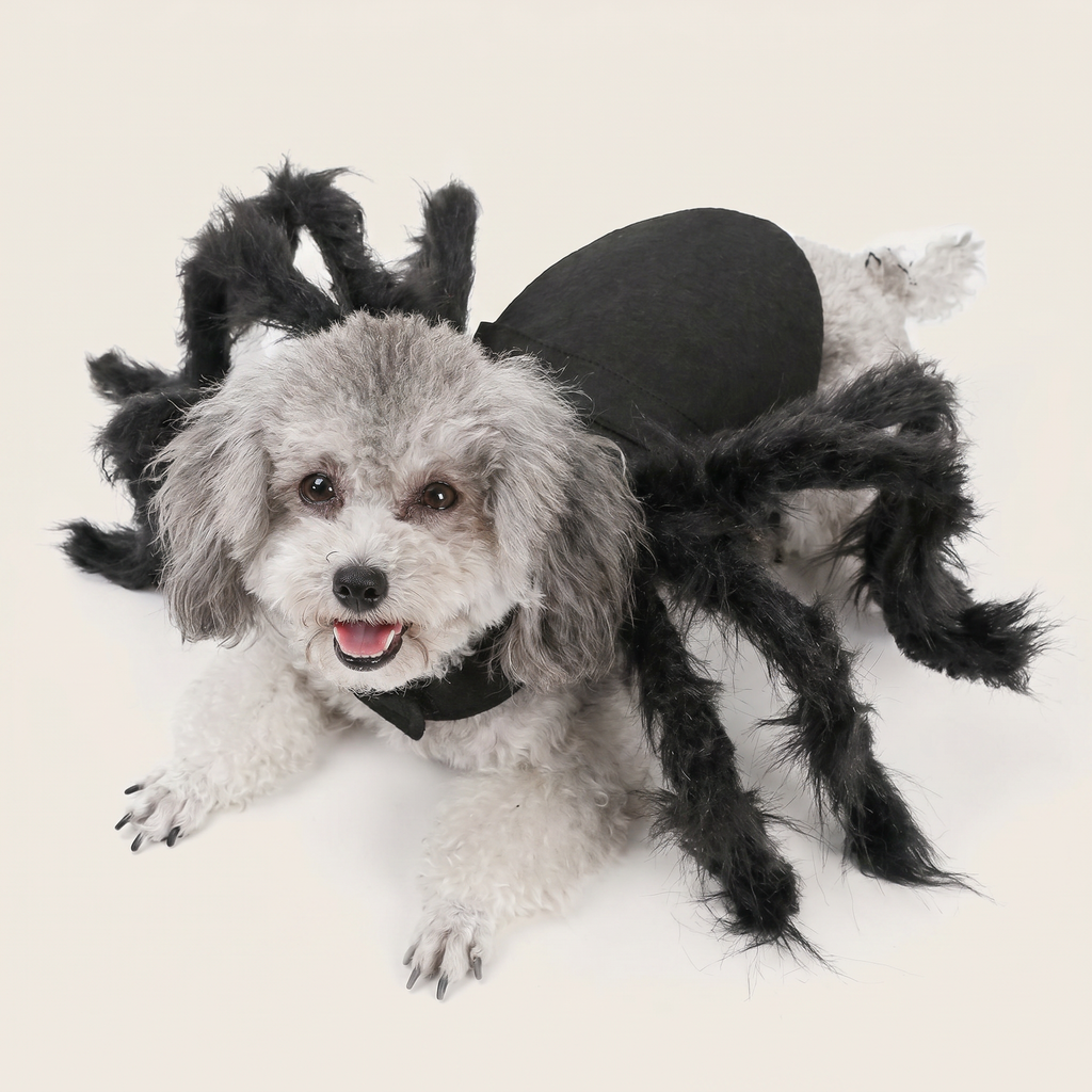 Black spider legs dog costume shown on a dog