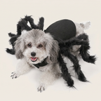 Black spider legs dog costume shown on a dog