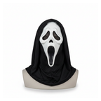 Latex skull mask with hooded shroud on a white background