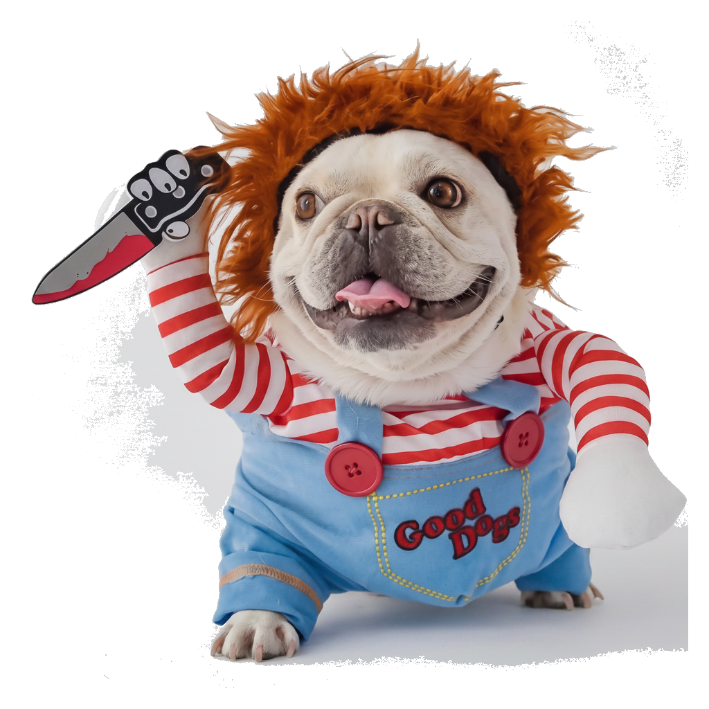 Padded doll dog costume on a white background