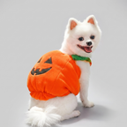 Plush pumpkin pet costume shown on a dog