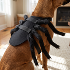 Close up of the adjustable spider legs pet costume