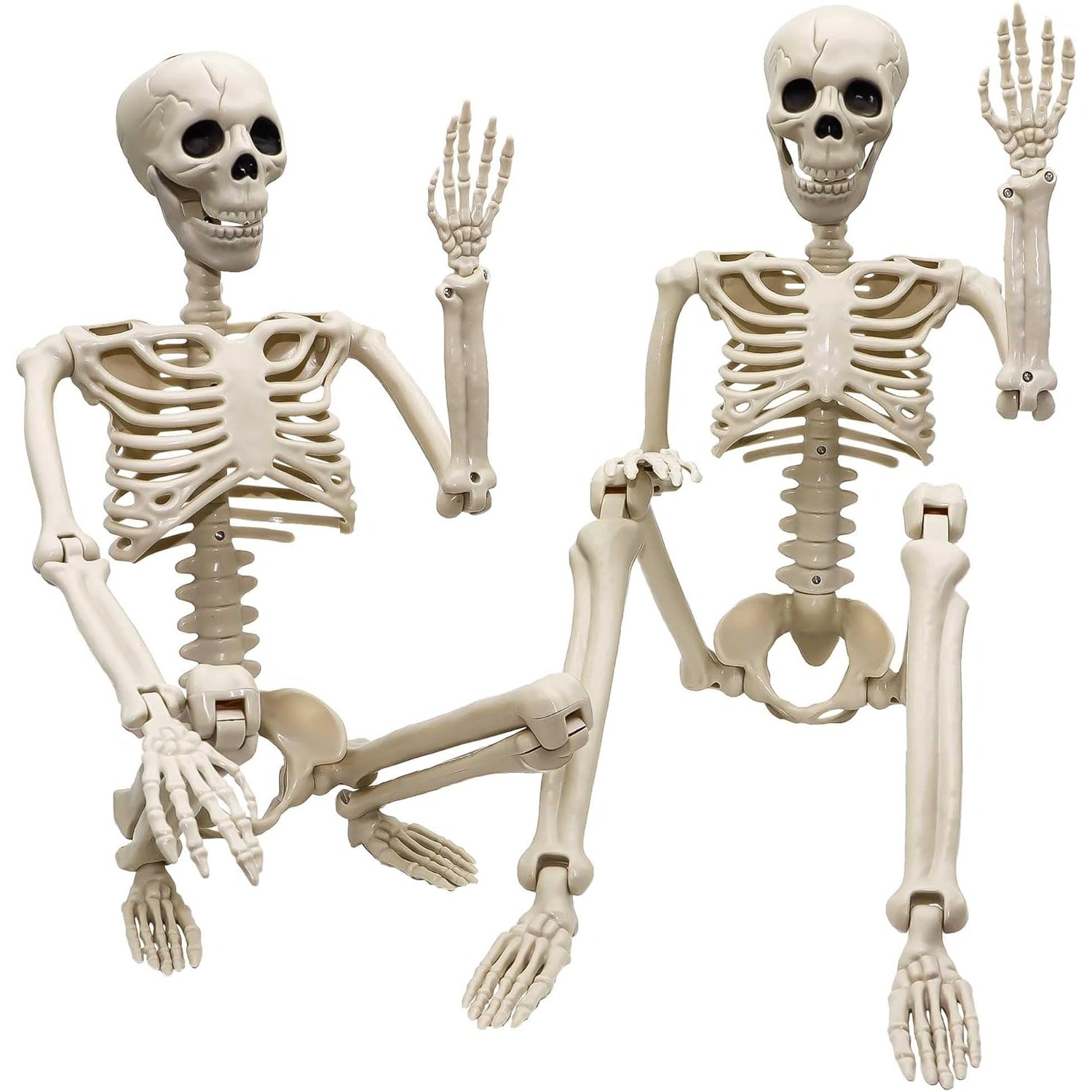 Two 36 inch posable Halloween skeletons