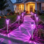 Purple solar pathway lights lining a path to a decorated house at dusk