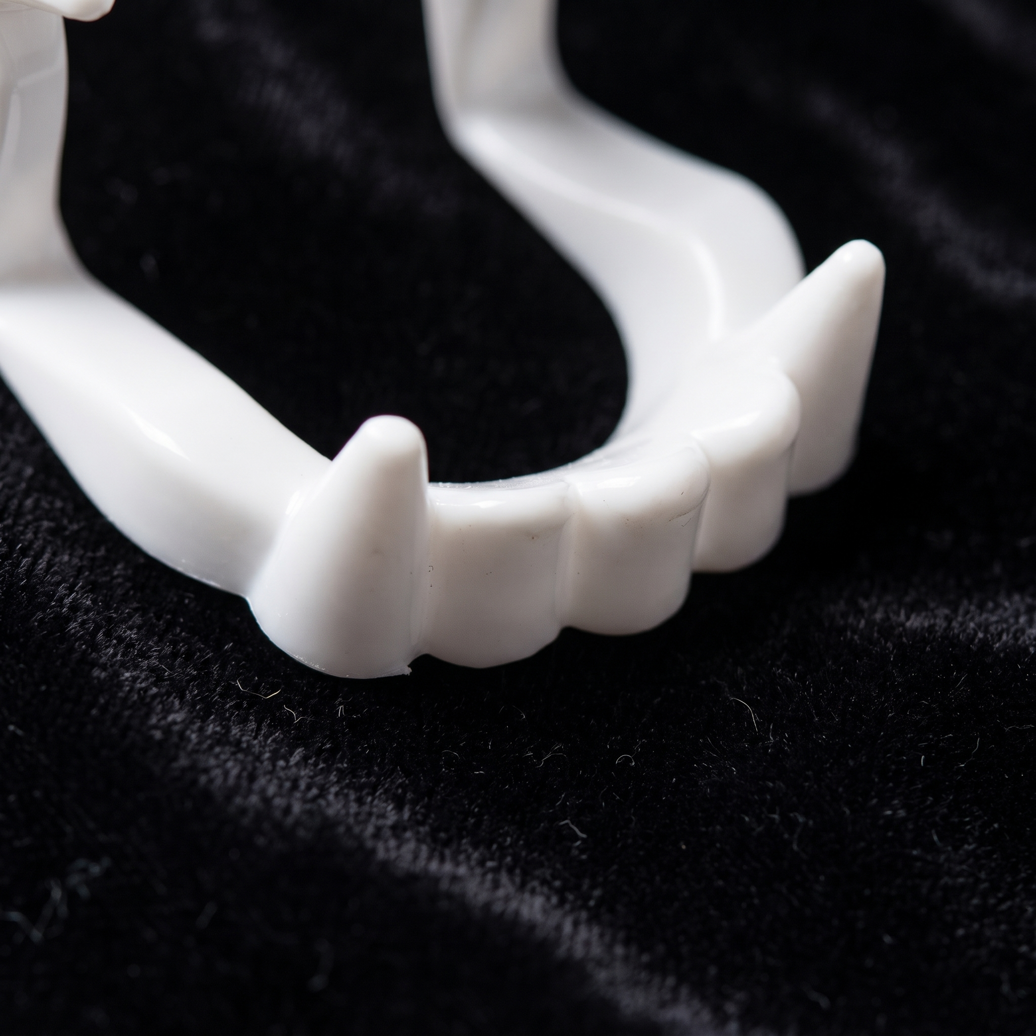 Close up of white vampire fangs costume teeth on black velvet