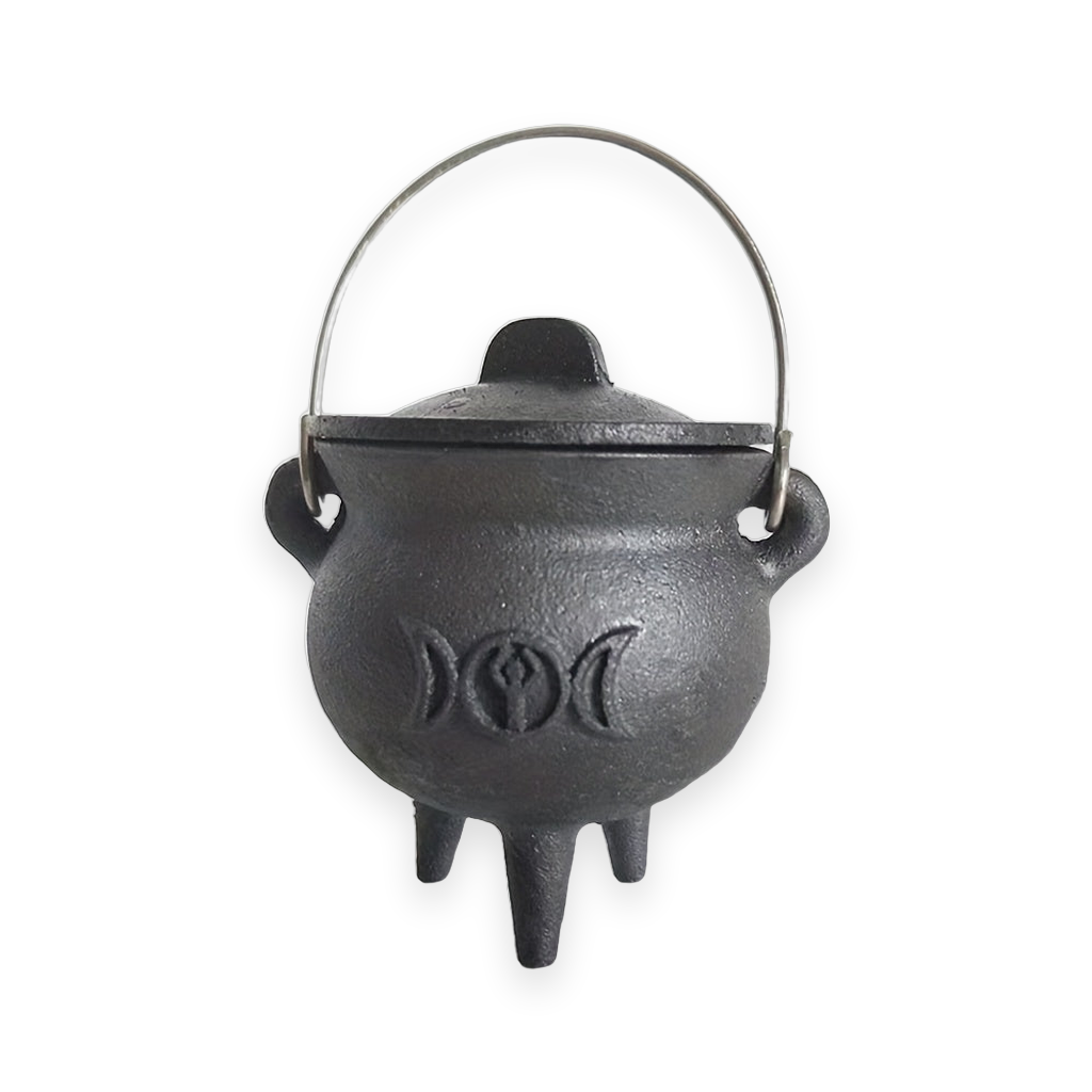 Witch cauldron with lid and handle on a white background